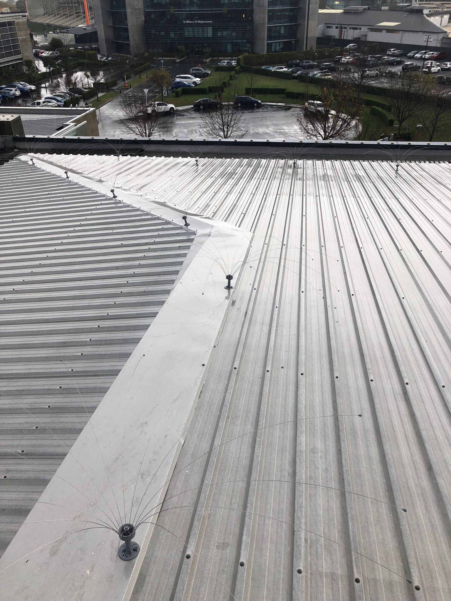 Daddy long legs roof install, Christchurch